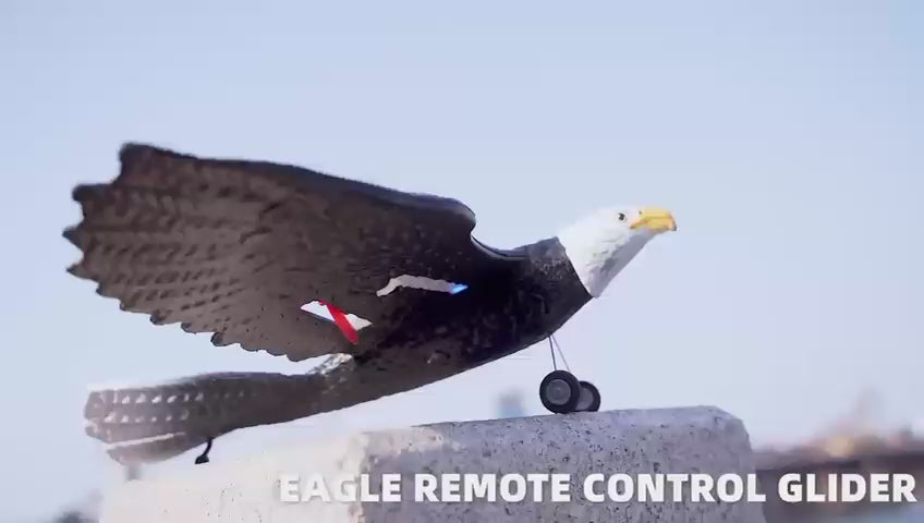 RC Eagle For Kids